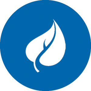 Lifia logo. White leaf on a circular blue background.